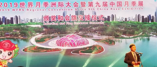 厉害了，烙画再次登上世界大舞台！
